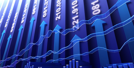 Beginners Guide to Stock Bazaar