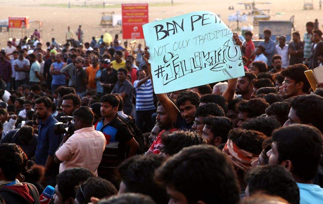 Chennai-Jallikattu-Marina-5 (1)