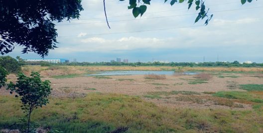 How the decline of Pallikaranai Wetlands is draining Chennai’s water security